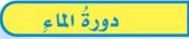 دورة الماء